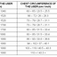 Bengio ABP Size Guide